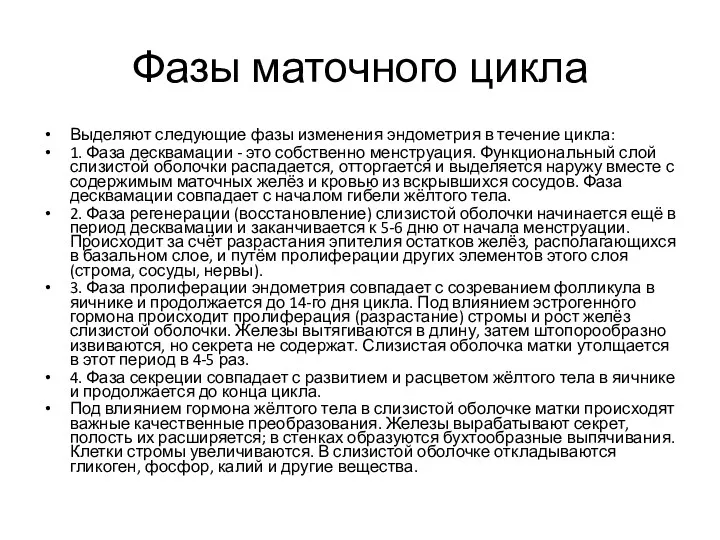 Фазы маточного цикла Выделяют следующие фазы изменения эндометрия в течение