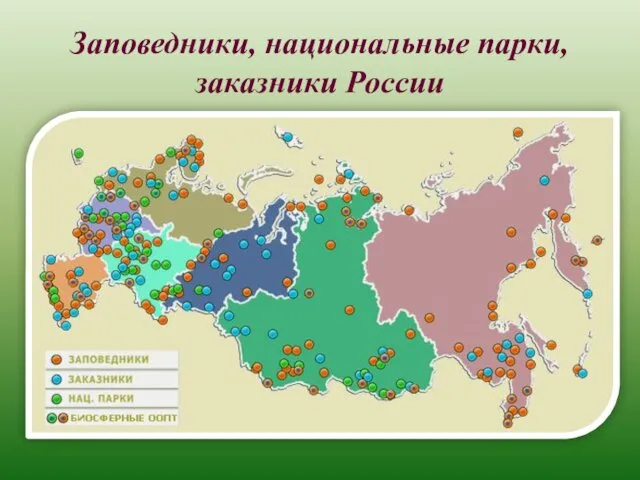 Заповедники, национальные парки, заказники России