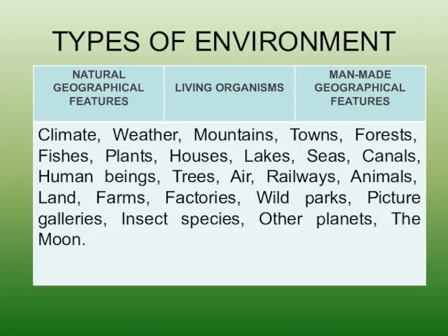 TYPES OF ENVIRONMENT