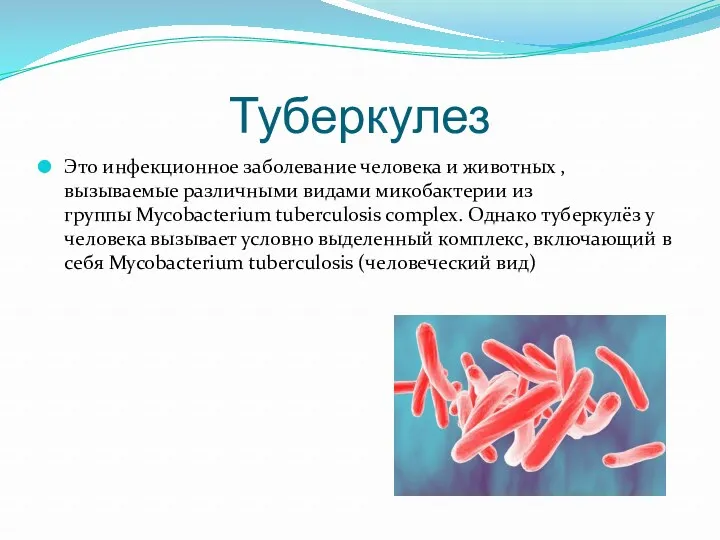 Туберкулез Это инфекционное заболевание человека и животных ,вызываемые различными видами