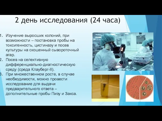 2 день исследования (24 часа) Изучение выросших колоний, при возможности