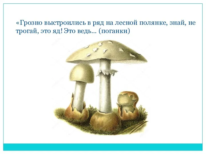 «Грозно выстроились в ряд на лесной полянке, знай, не трогай, это яд! Это ведь… (поганки)