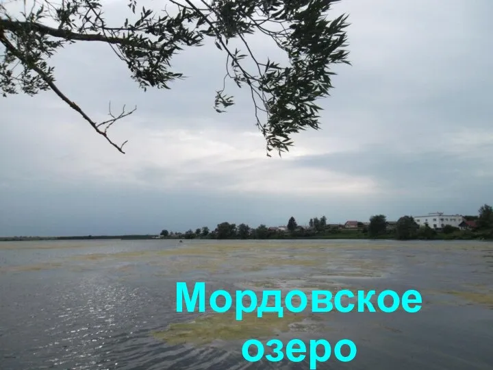 Мордовское озеро