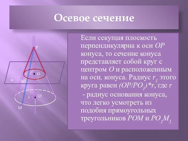 Осевое сечение Если секущая плоскость перпендикулярна к оси ОР конуса,