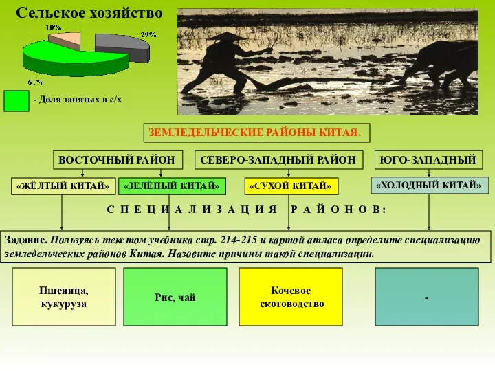 Сельское хозяйство ЗЕМЛЕДЕЛЬЧЕСКИЕ РАЙОНЫ КИТАЯ. ВОСТОЧНЫЙ РАЙОН «ЖЁЛТЫЙ КИТАЙ» «ЗЕЛЁНЫЙ
