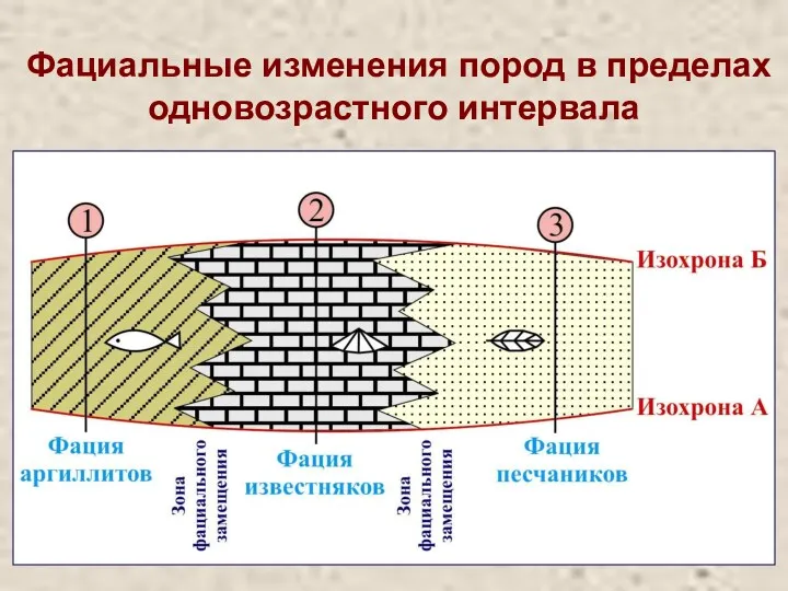 Фациальные изменения пород в пределах одновозрастного интервала