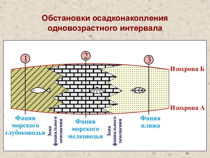 Обстановки осадконакопления одновозрастного интервала