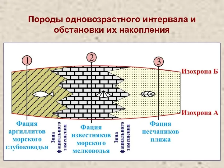 Породы одновозрастного интервала и обстановки их накопления