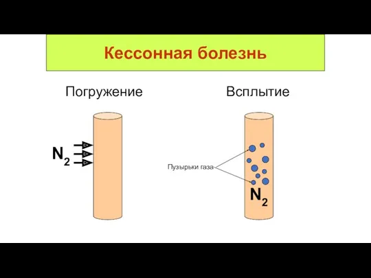 Кессонная болезнь N2 Погружение Всплытие N2 Пузырьки газа