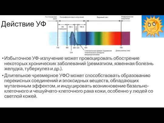 Действие УФ Избыточное УФ-излучение может провоцировать обострение некоторых хронических заболеваний