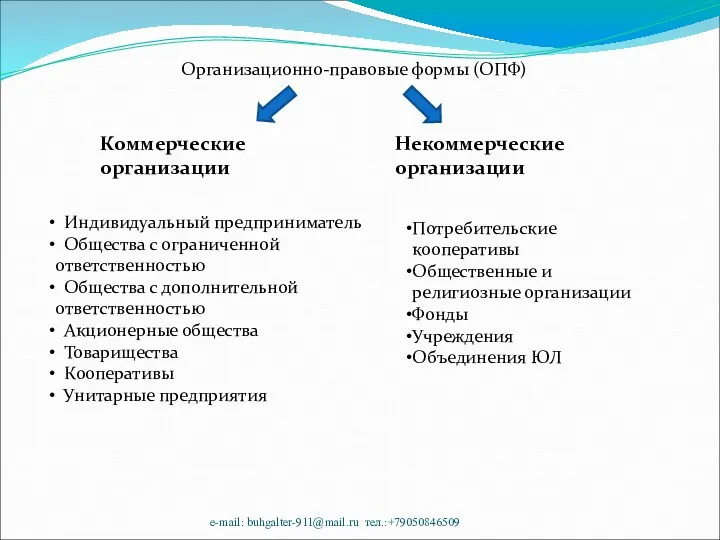 Организационно-правовые формы (ОПФ) Потребительские кооперативы Общественные и религиозные организации Фонды