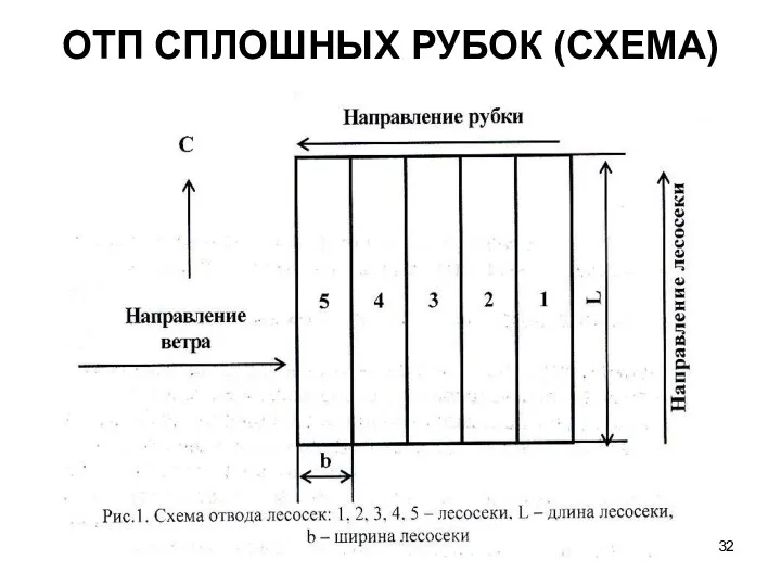 ОТП СПЛОШНЫХ РУБОК (СХЕМА)