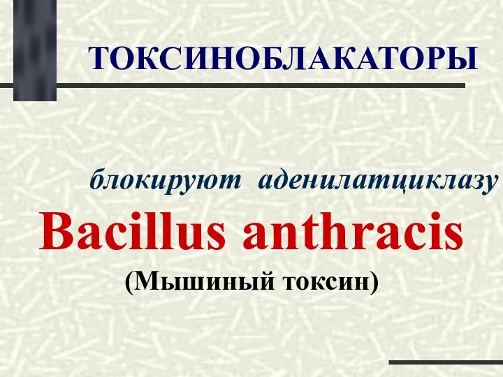 ТОКСИНОБЛАКАТОРЫ блокируют аденилатциклазу Bacillus anthracis (Мышиный токсин)