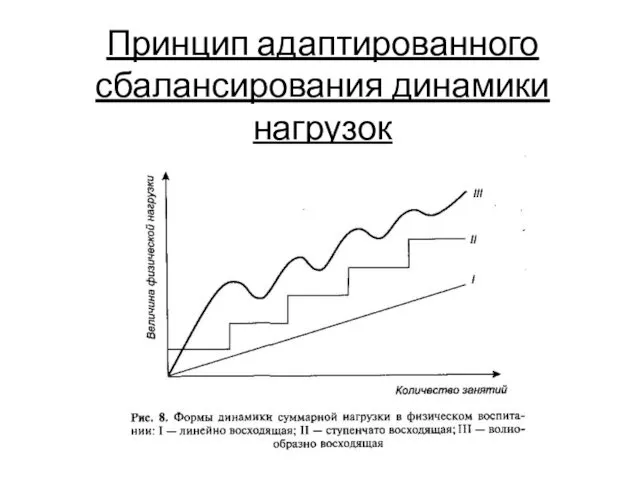 Принцип адаптированного сбалансирования динамики нагрузок