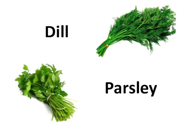 Dill Parsley