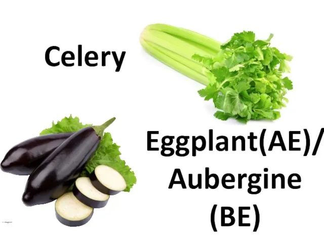 Celery Eggplant(AE)/ Aubergine (BE)