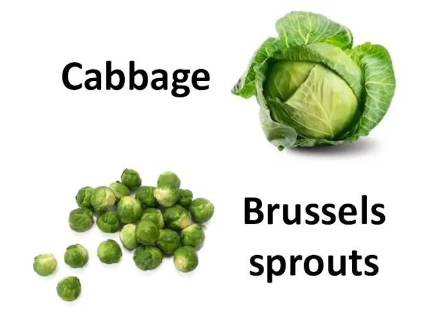 Cabbage Brussels sprouts
