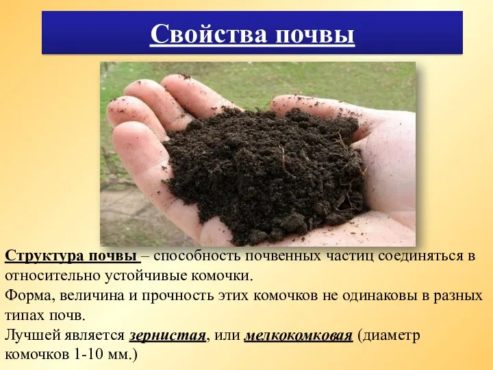 Свойства почвы Структура почвы – способность почвенных частиц соединяться в относительно устойчивые комочки.