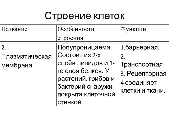 Строение клеток