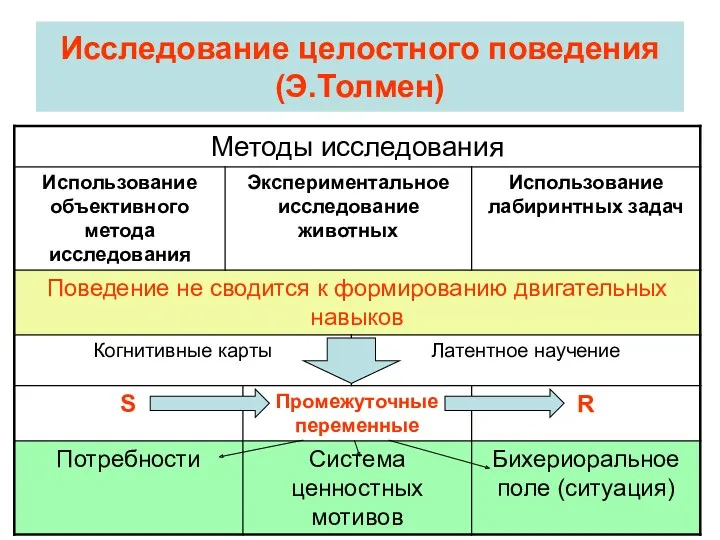 Исследование целостного поведения (Э.Толмен)