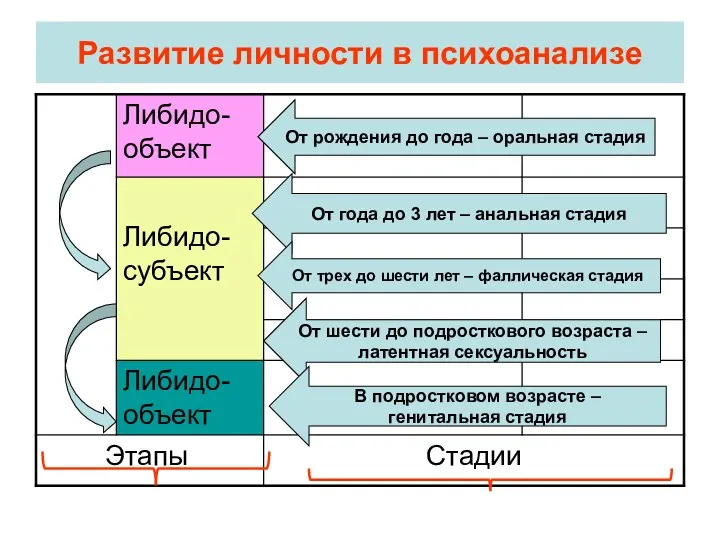 Развитие личности в психоанализе От рождения до года – оральная