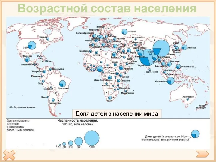 Возрастной состав населения мира Средний возраст населения мира – 33