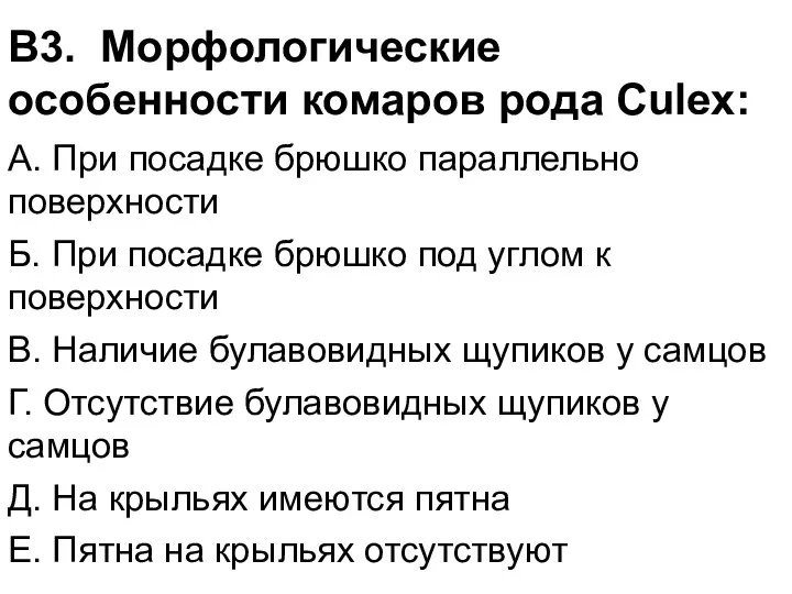 В3. Морфологические особенности комаров рода Culex: А. При посадке брюшко