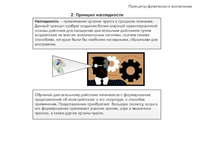 2. Принцип наглядности Принципы физического воспитания Наглядность – привлечение органов