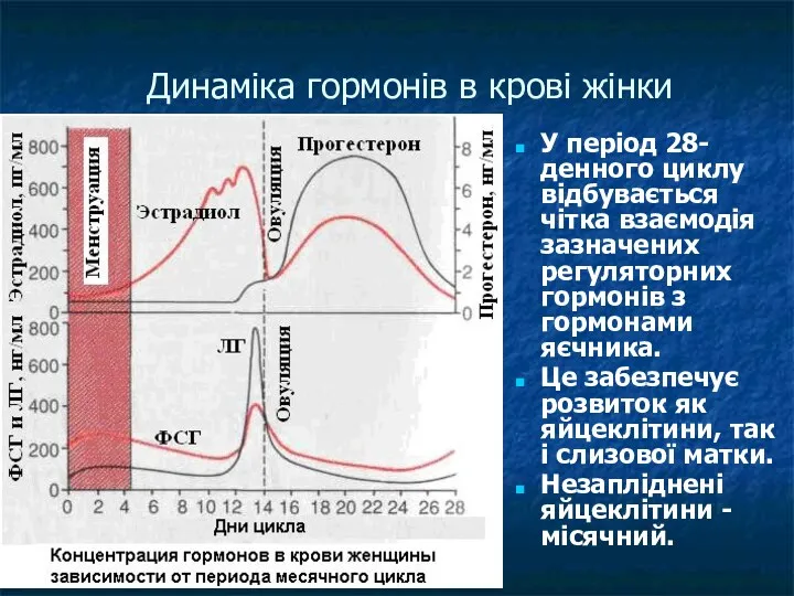 Динаміка гормонів в крові жінки У період 28-денного циклу відбувається