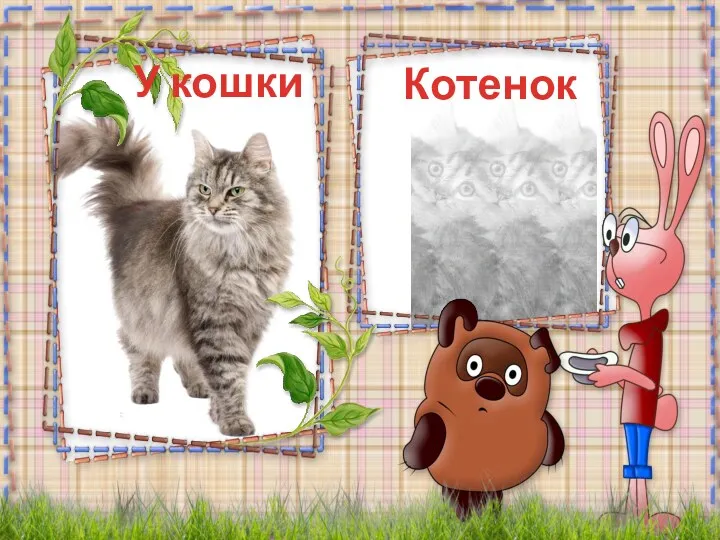 Котенок У кошки