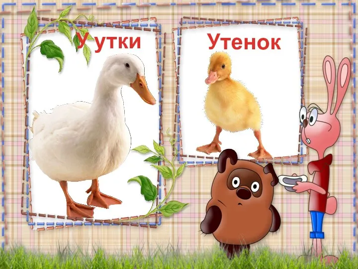 Утенок У утки