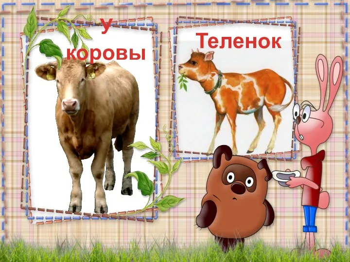 Теленок У коровы