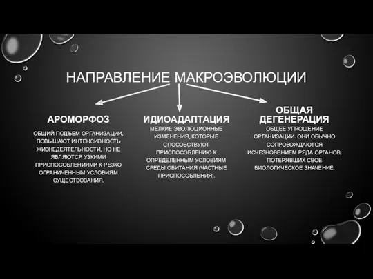 НАПРАВЛЕНИЕ МАКРОЭВОЛЮЦИИ АРОМОРФОЗ ОБЩИЙ ПОДЪЕМ ОРГАНИЗАЦИИ, ПОВЫШАЮТ ИНТЕНСИВНОСТЬ ЖИЗНЕДЕЯТЕЛЬНОСТИ, НО