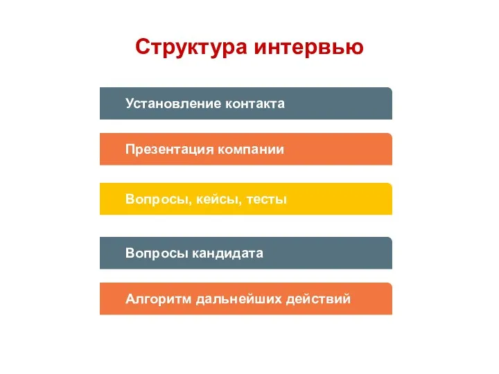 Структура интервью Установление контакта Презентация компании Вопросы, кейсы, тесты Вопросы кандидата Алгоритм дальнейших действий