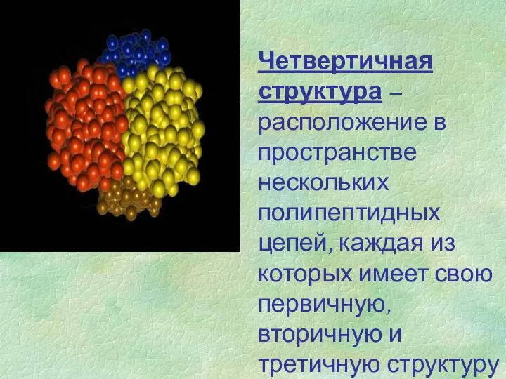 Четвертичная структура – расположение в пространстве нескольких полипептидных цепей, каждая