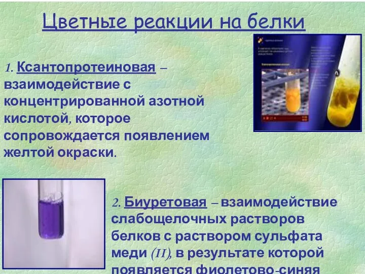 Цветные реакции на белки 2. Биуретовая – взаимодействие слабощелочных растворов