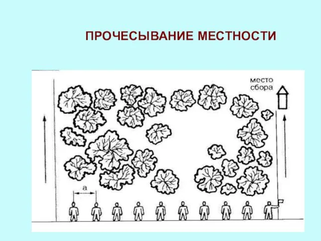 ПРОЧЕСЫВАНИЕ МЕСТНОСТИ