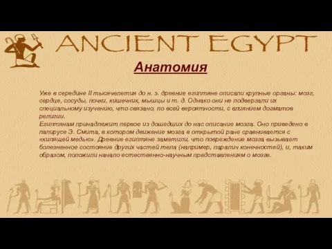 Уже в середине II тысячелетия до н. э. древние египтяне
