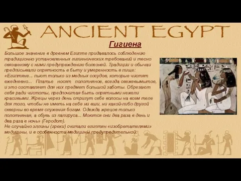 Гигиена Большое значение в древнем Египте придавалось соблюдению традиционно установленных