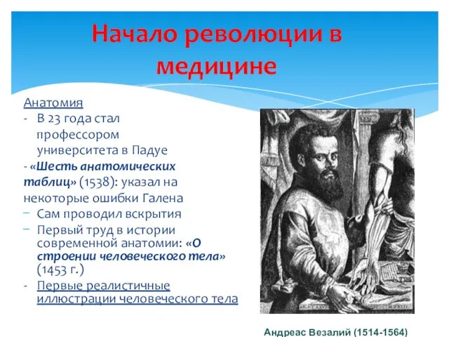 Начало революции в медицине Анатомия - В 23 года стал