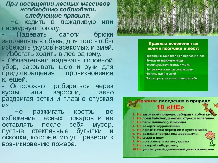 При посещении лесных массивов необходимо соблюдать следующие правила. - Не