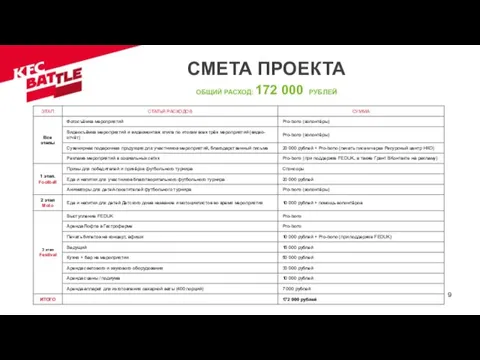 СМЕТА ПРОЕКТА ОБЩИЙ РАСХОД: 172 000 РУБЛЕЙ