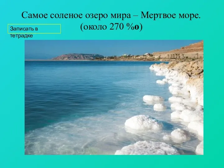 Самое соленое озеро мира – Мертвое море. (около 270 %о) Записать в тетрадке