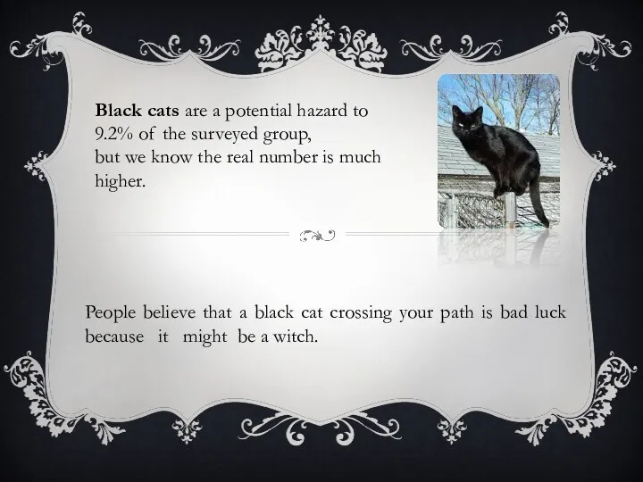 People believe that a black cat crossing your path is