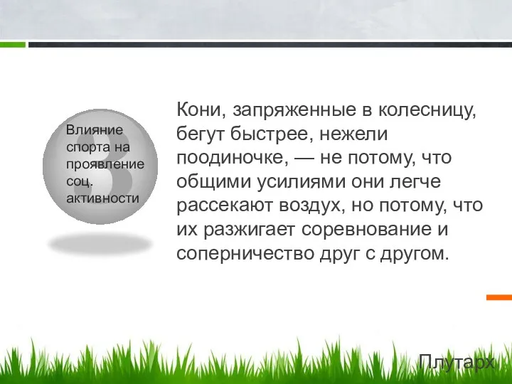 3 Влияние спорта на проявление соц. активности Кони, запряженные в