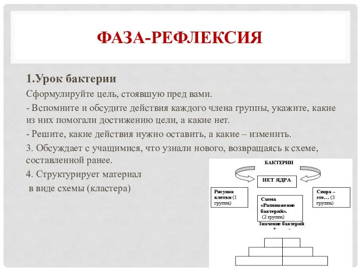 ФАЗА-РЕФЛЕКСИЯ 1.Урок бактерии Сформулируйте цель, стоявшую пред вами. - Вспомните