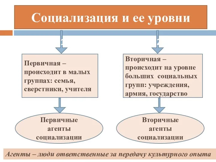 Социализация и ее уровни 1 2 Первичная – происходит в