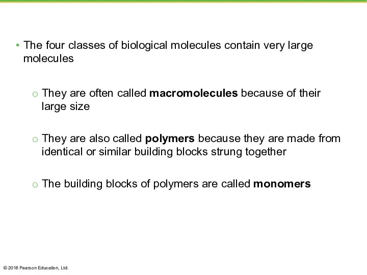 The four classes of biological molecules contain very large molecules