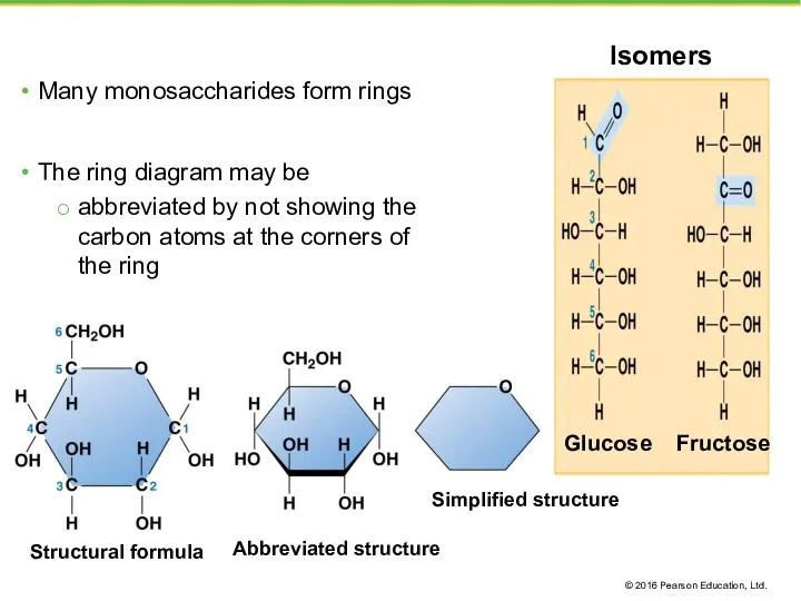 Many monosaccharides form rings The ring diagram may be abbreviated