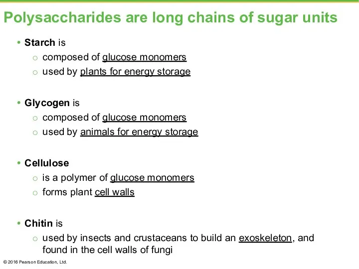 Polysaccharides are long chains of sugar units Starch is composed